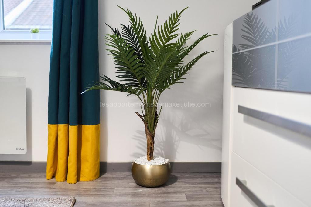 photo de Appartement proche centre ville - 1 a 4 personnes