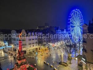 Tulipe hypercentre fantastique à Reims