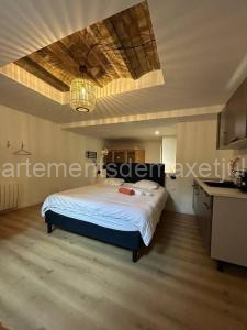 CELLAR- Appartement Sous-Sol Atypique à Reims