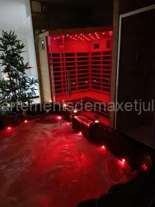 Spa appartement O temps suspendu Reims centre sauna et jacuzzi à Reims